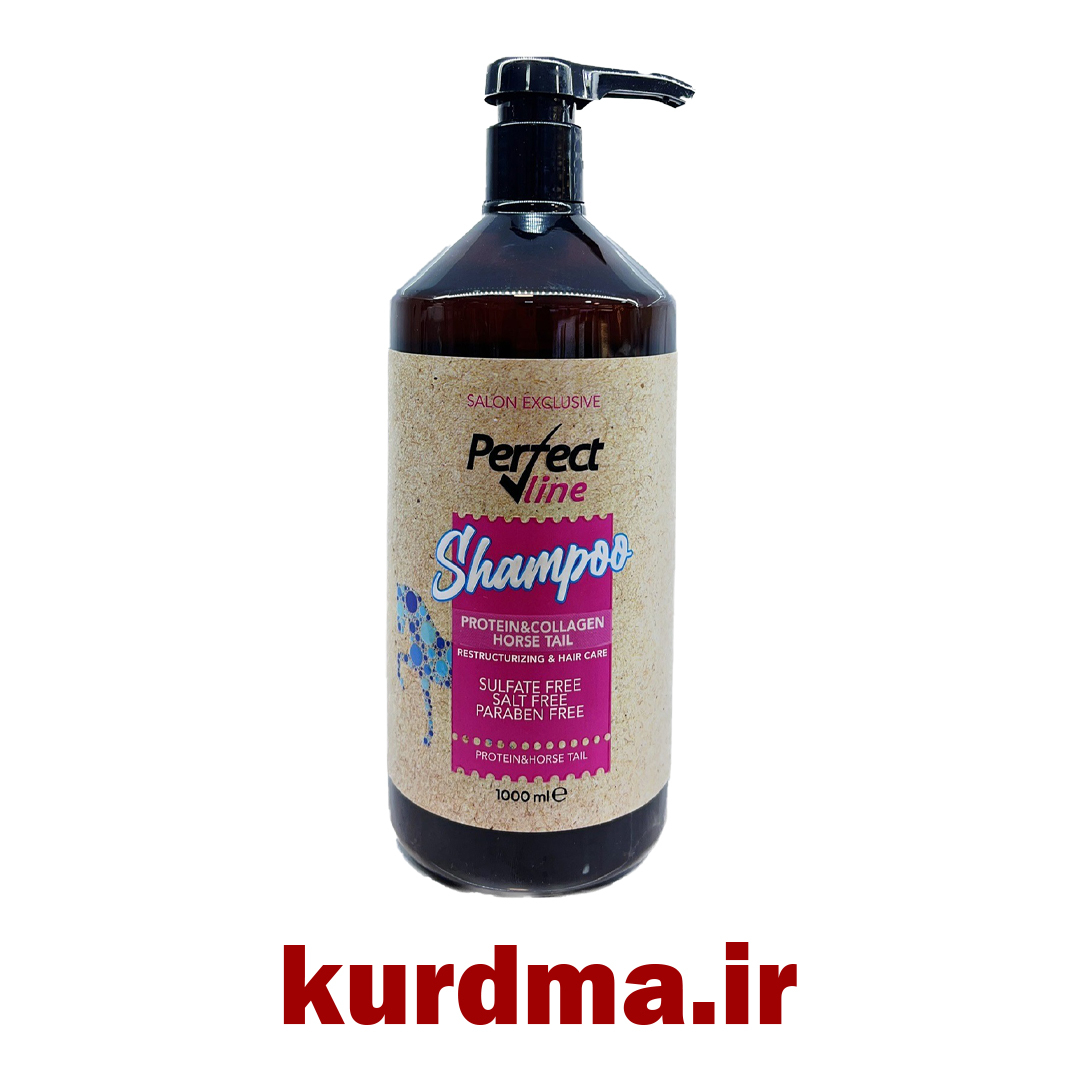  شامپو بازسازی و تقویت کننده موی سر Perfect Line 