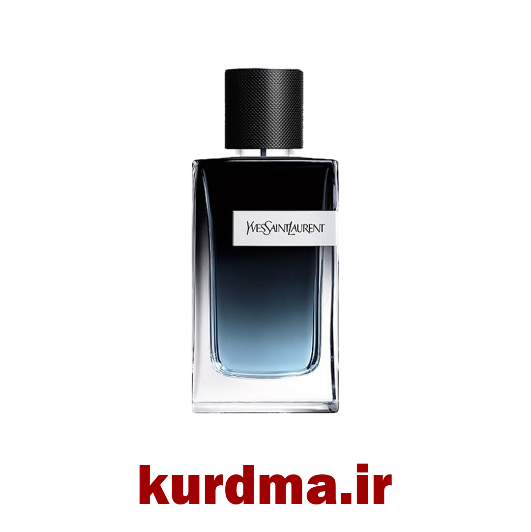  ادکلن مردانه ایو سن لورن وای ادو پرفیوم Y Eau de Parfum Intense 