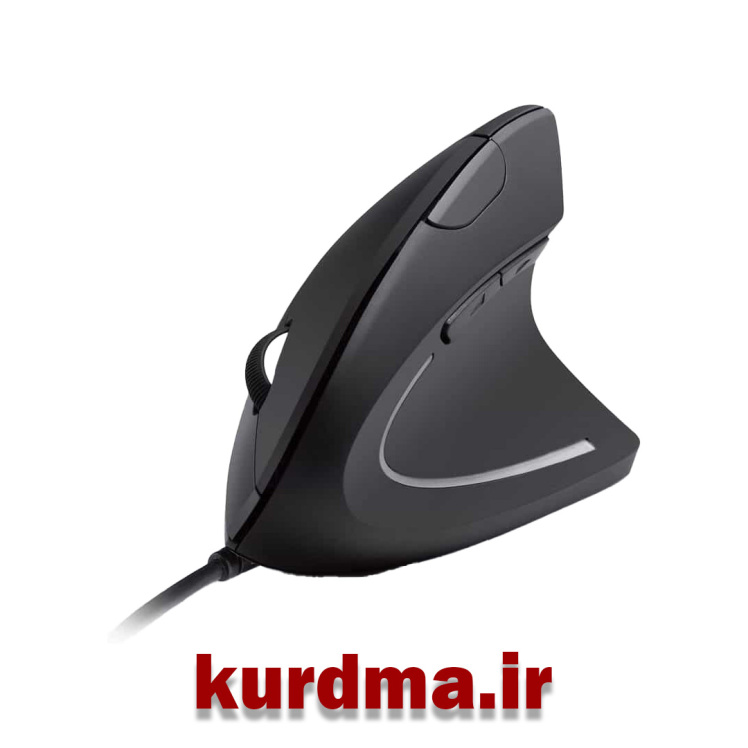 ماوس ارگونومیک Ergonomic 6D Mouse
